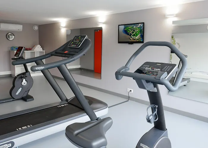 Ibis Styles Centre Gare Hotel 3*